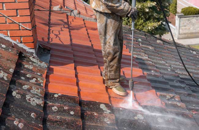 Professional Roof Cleaning Services